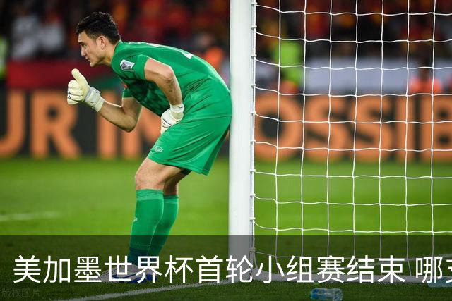 美加墨世界杯首轮小组赛结束 哪支球队最令人失望？